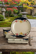 Ceramica Japanese-Inspired Dinnerware Set – additional product view 8